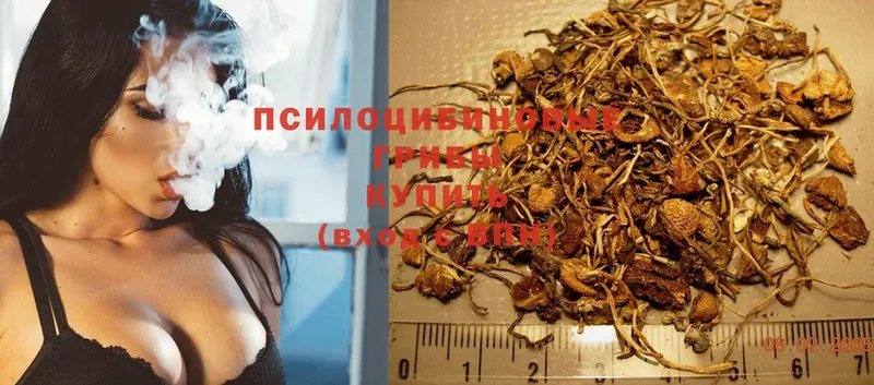 Псилоцибиновые грибы MAGIC MUSHROOMS  hydra вход  Апшеронск 